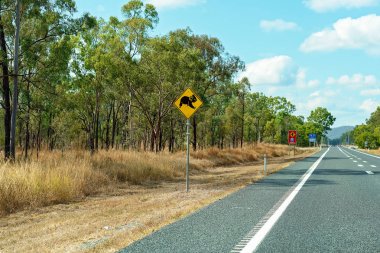 Avustralya'da Koala Crossing Road Sign