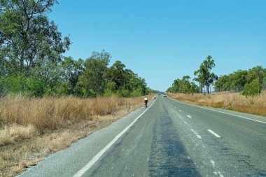 İki Bisiklet Biniciler Bir Ülke Karayolu Üzerinde Seyahat