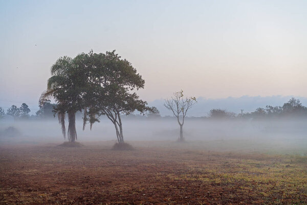 Ранним утром туман в деревне
