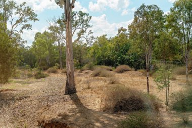 Kuru ve Tozlu Avustralya Kırsal