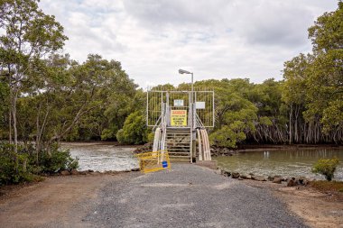 Mangrov Yürüyüş Parkuru Bir Dere Karşısında Çelik Köprü ye