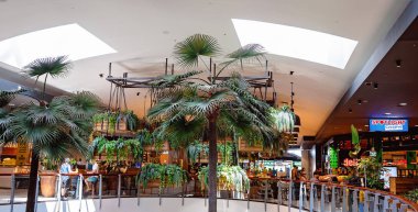 Tropik Palmiyeler ve Eğrelti otları Dekorasyon Bir Alışveriş Merkezi