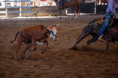 Baldır Takımı Tozlu Arena 'da İp Atlıyor