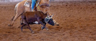 Baldır Takımı Tozlu Arena 'da İp Atlıyor