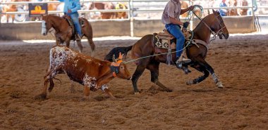 Baldır Takımı Tozlu Arena 'da İp Atlıyor