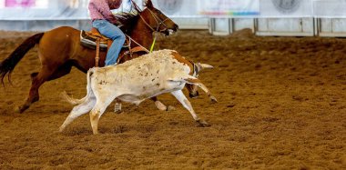 Baldır Takımı Tozlu Arena 'da İp Atlıyor
