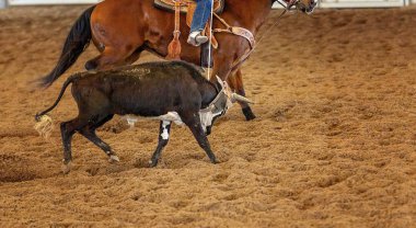 Avustralya 'da Baldır İpi