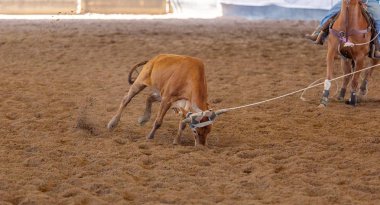 Avustralya 'da Baldır İpi