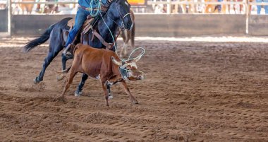 Avustralya 'da Baldır İpi
