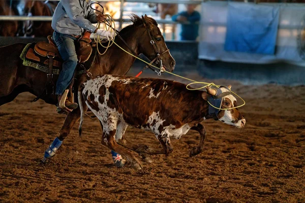 Calf Roping Στην Αυστραλία — Φωτογραφία Αρχείου