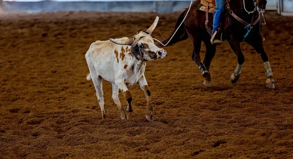 Baldır Takımı Tozlu Arena 'da İp Atlıyor
