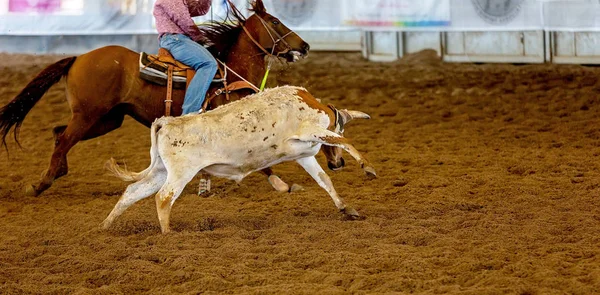 Baldır Takımı Tozlu Arena 'da İp Atlıyor