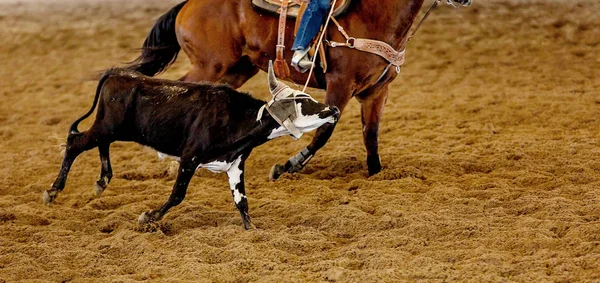 Avustralya 'da Baldır İpi