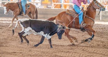 Avustralya 'da Baldır İpi