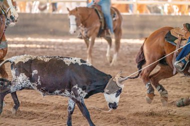 Avustralya 'da Baldır İpi