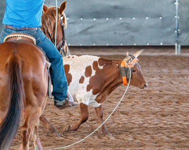 Avustralya 'da Baldır İpi