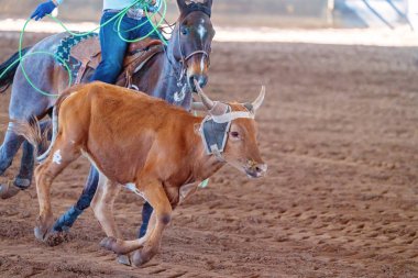 Avustralya 'da Baldır İpi