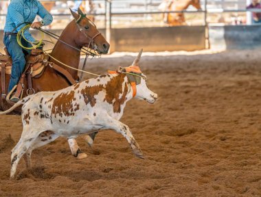 Avustralya 'da Baldır İpi