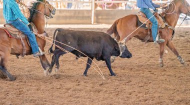 Avustralya 'da Baldır İpi