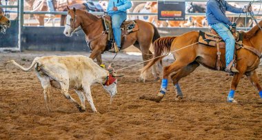 Avustralya 'da Baldır İpi
