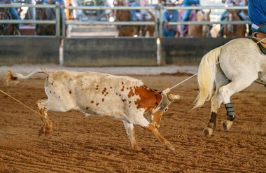 Avustralya 'da Baldır İpi