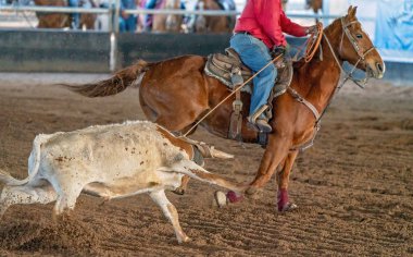 Avustralya 'da Baldır İpi