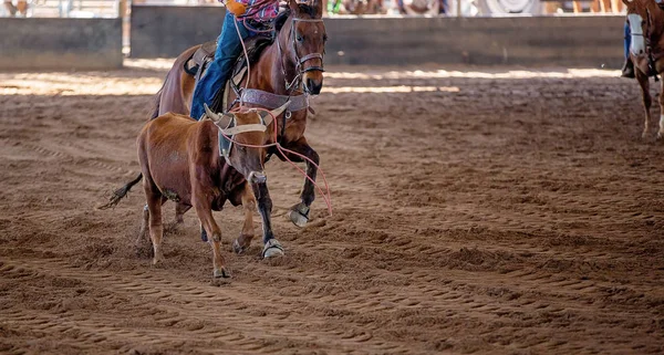 Calf Roping Στην Αυστραλία — Φωτογραφία Αρχείου