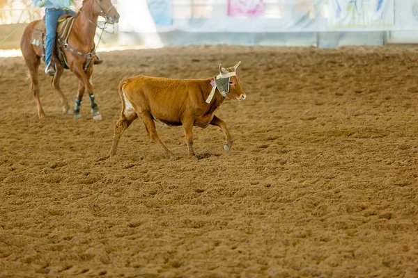 Cielę skaczące po pustkowiu Rodeo — Zdjęcie stockowe