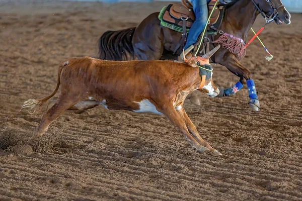 Calf Roping At An Outback Rodeo — Stock Photo, Image