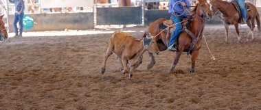 Bir taşra rodeosunda baldır halatı.