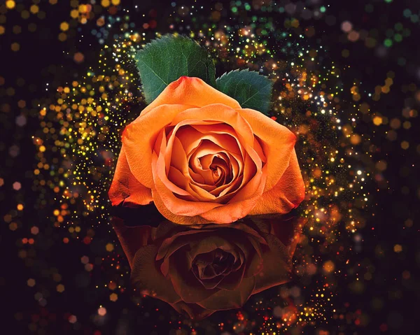 Gros Plan Une Rose Orange Avec Reflet Eau Entouré Lumières — Photo