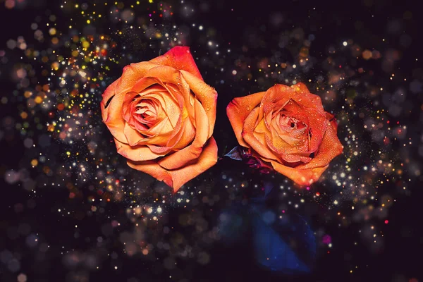 Deux Roses Orange Entourées Lumières Chatoyantes — Photo