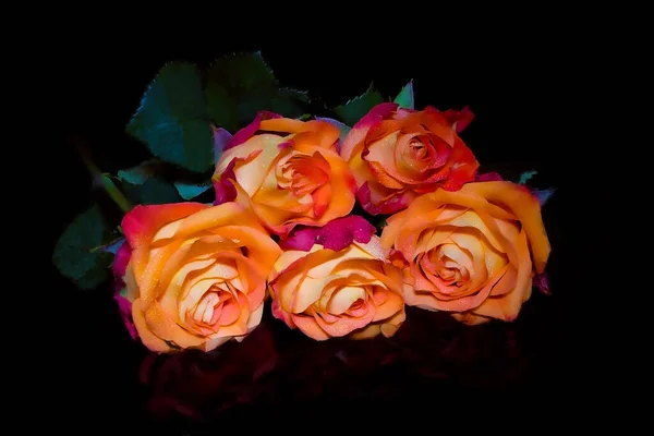 Sárga Rózsaszín Rózsa Csokor Víztükörképpel Fekete Háttérrel — Stock Fotó