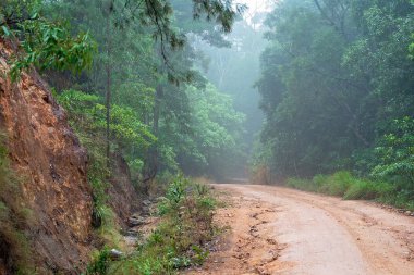 Yağmurla sislenmiş bir öğleden sonra bir dağa çıkan kaba toprak bir patika.