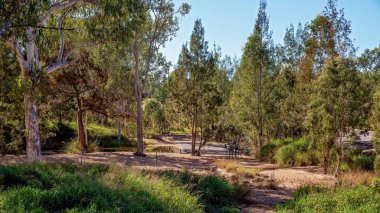 Eski bir yolun yanında küçük bir dere var. Yanı başında yeni bir otoyol var.