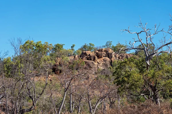 Vulkanische Rots Undara Nationaal Park Het Binnenland Van Australië — Stockfoto