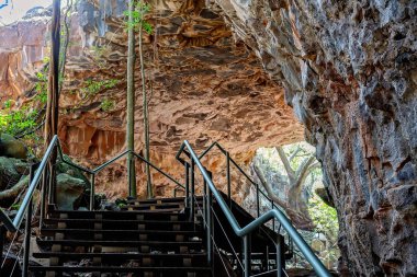 Stairway to Lava tubes ecosystem in Undara National Park outback Australia guided archway tour clipart