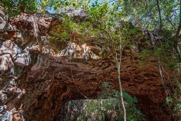 Lava tubes ecosystem in Undara National Park outback Australia guided archway tour