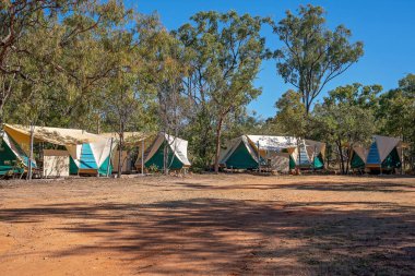 Undara Volkanik Ulusal Parkı, Queensland, Avustralya - Haziran 2020: Tatil parkında kalıcı konaklama