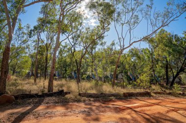 Undara Volkanik Ulusal Parkı, Queensland, Avustralya - Haziran 2020: Ağaçlar tatil parkında kalıcı konaklama çadırlarını gizliyor