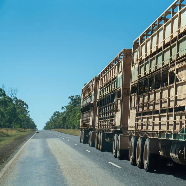 Townsville Autostrady Undara Queensland Czerwiec 2020 Dwa Pociągi Drogowe Przewożące — Zdjęcie stockowe