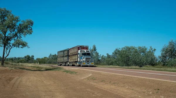 Undara Townsville Highway Queensland Australia June 2020 Road Train Transporting — 图库照片