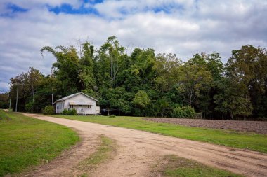 Şeker kamışı tarlasında küçük bir işçi kulübesi çalılıklara geri dönüyor.