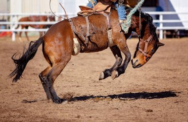 Kovboy, Country Rodeo 'da at biniyor