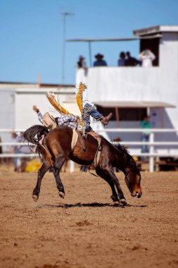 Kovboy bir rodeoda eyerli at yarışında yarışıyor.