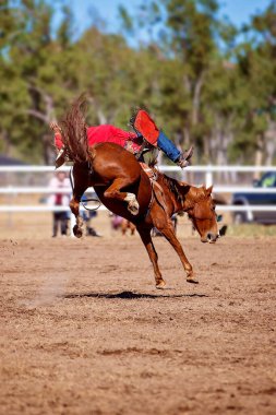 Kovboy bir rodeoda eyerli at yarışında yarışıyor.