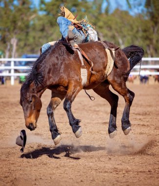 Kovboy bir rodeoda eyerli at yarışında yarışıyor.