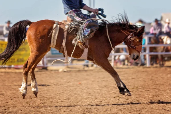 Vaquero Compitiendo Evento Sillín Bronc Rodeo Campestre — Foto de Stock