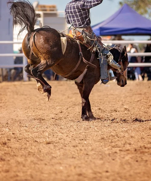 Vaquero Compitiendo Evento Sillín Bronc Rodeo Campestre —  Fotos de Stock