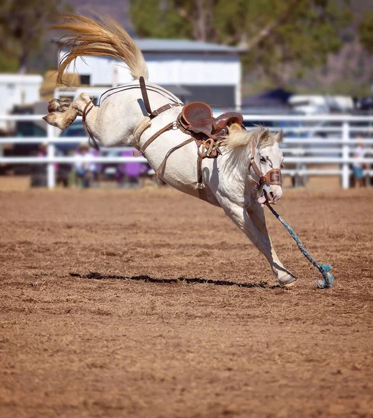 Bronc Paard Bucks Cowboy Rijder Uit Bij Country Rodeo — Stockfoto